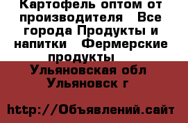 Картофель оптом от производителя - Все города Продукты и напитки » Фермерские продукты   . Ульяновская обл.,Ульяновск г.